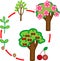 Life cycle of cherry tree