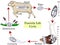 The life cycle of fascioliasis. Medical Education Chart of Biology Diagram. Vector. Front aspect table on white