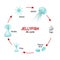 Life cycle of jellyfish from eggs to larva, Polyp, Strobila and Ephyra. Moon jelly Aurelia aurita