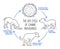 The life cycle of parvovirus in dogs. Canine gastrointestinal disease.