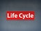 Life Cycle Red Banner Abstract Background