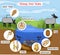 Life cycle of Sheep liver fluke Fasciola hepatica with sheep, snail and pond