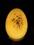 Life in the Dark: The Magic of the Luminous Oval Egg-shaped Yellow Marble Stone