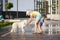 Life with domestic pets in the city - young woman watering a dog with water from a fountain