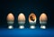 Life in egg