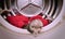 Life with ferrets - ferret found in drying machine and red towell as hiding place