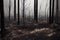 Life after fire in forest dramatic scorched earth natural background with burnt tree trunk and charred ash soil. Nature