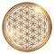 Life flower gold isolated free ornament energy