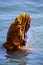 Life on the Ganges: woman in a bright yellow or orange sari bathing in the Ganges as religious ritual. beautiful color contrasts.