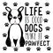 Life is good dogs make it pawfect- funny text, with cute Boston Terrier,and paws.