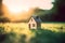 Life and Home Concept: Miniature Model House on Green Grass with Sunlight Abstract Background. created with Generative AI