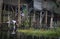 Daily life on Inle lake in Burma, Asia