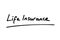 Life Insurance