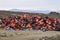 Life Jackets and boats left on Greek beach by refugees