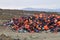 Life Jackets and boats left on Greek beach by refugees