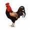 Life-like Illustration Of A Red And Black Rooster
