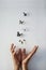 Life is magical. Studio shot of a unrecognizable persons hand releasing butterflies into the air on a grey background.