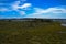 The Life of the Marsh Trail, Assateague Island National Seashore, Berlin, MD