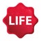 Life misty rose red starburst sticker button