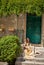 Life in Provence. Woman sitting on the porch and stroking a cat