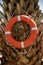 Life Ring Buoy Hanging on A Palm Tree