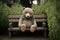 life-size bear doll sitting on a bench, surrounded by greenery