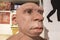 Life-sized Neanderthal bust