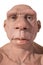 Life-sized Neanderthal bust. Front