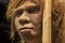 Life-sized sculpture of Neanderthal female