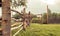 Life in the village. Wooden gate with an old deadbolt. Country fence.Nature in the summer at sunset. fields and pasture of cows