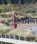 Lifebuoy at Glenariff Waterfoot Beach and Glen Antrim Northern Ireland