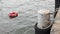 Lifebuoy for life saver floating man in the river and garbage,  not eliminated properly, it will cause pollution. Environment with