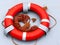 Lifebuoy ring