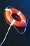 Lifebuoy Ring on Water