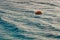 A lifebuoy on the surface of a waving sea.