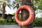 a lifebuoy on a tree, in a hotel by the pool. Safe bathing of children and adults at the sea or relaxing by the pool in