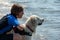 Lifeguard dogs and instructor at the beach.