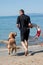 Lifeguard dogs and instructor at the beach.