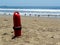 Lifeguard floater on shore with some seagulls