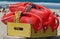 Lifeguard Rescue Buoys (Rescue Cans)