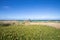 Lifeguard tower in beach behind lush plants