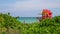 Lifeguard tower in Miami.