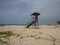 Lifeguard tower stand in Tayrona National Park tropical Caribbean palm tree coast sand beach Colombia South America