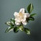 Lifelike Gardenia: Minimal Retouching, Micro Photograph Style