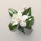 Lifelike Gardenia: Minimal Retouching, Micro Photograph Style