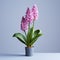 Lifelike Hyacinth In Pot: Colorized Matte Background Micro Photograph