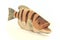 Lifelike model of a little wooden fish. Home and office decoration Toy.