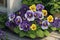 Lifelike photograph of Pansy flowers in a garden home nature\\\'s beauty captured generated by Ai