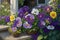 Lifelike photograph of Pansy flowers in a garden home nature\\\'s beauty captured generated by Ai