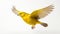 Lifelike Rendering Of A Bright Yellow Canary In Flight